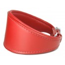  Ace Traditional Leather Dog Collar: Red Red 